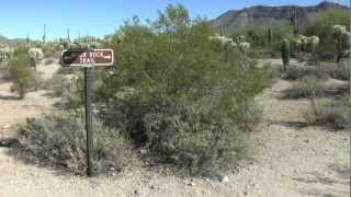 Usery Mountain Regional Park