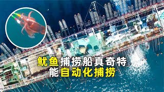 仅需100万，就能实现捕捞鱿鱼自动化！