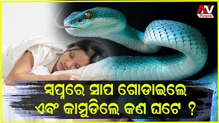 ସ୍ବପ୍ନରେ ସାପ କାମୁଡିବା ଦେଇଥାଏ ଏହି ସଙ୍କେତ । | Nirapekshya News