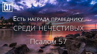 Есть награда праведнику среди нечестивых | Псалом 57 | Библия