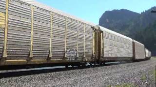 UP 8009 West near Cascade Locks, OR 8/9/2014