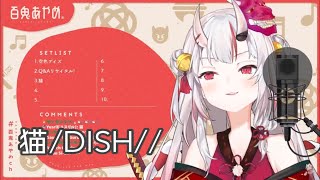 【百鬼あやめ】猫/DISH//【歌枠】