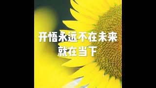 201905 开悟永远不在未来　就在当下51195