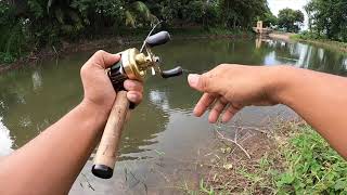 Easy fishing กระสูบกัดโหดที่คลองเหมือง