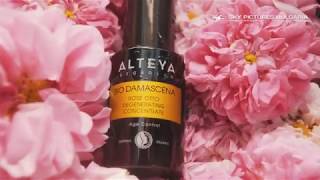 The magic of Bulgarian Rose oil Българска роза и розово масло