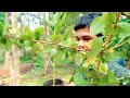 💃 ಹೂವಿನ ಗಿಡಗಳನ್ನು ನೆಡೋಣ natuer vlogs kannada best kannada vlogs nature vlogs india