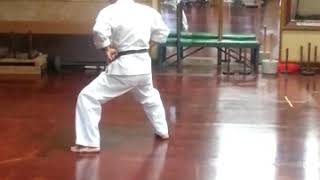 Nagamine Dojo Okinawa, Shinjo Sensei performing Chinto Kata