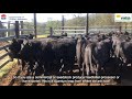 NSW DPI - Cattle Assess 3D