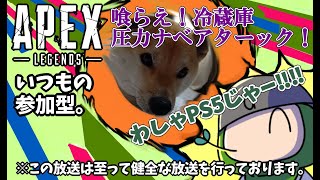 【APEX】喰らえこれが主の最高ダメージだ！みんなのたまり場の参加型エイペックス｜参加型　#22　#apexlegends #参加型 #live #apex