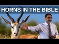 What Do Horns Mean in the Bible? | The Horn of My Salvation | Strength