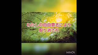 【闇の契約解除の宣言文】ライトワーカーの仲間たちへ〜光の戦士としての役目を今こそ果たすとき！重苦しい荷物はぽいっと捨てて、光と愛を創造していきましょう #スターシード #ライトワーカー #光の戦士