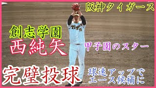 【高校野球のスター】夏の甲子園で16三振奪った西純矢、変化球のキレ+直球の球速アップで阪神のエース候補に！阪神タイガース春季キャンプ練習試合