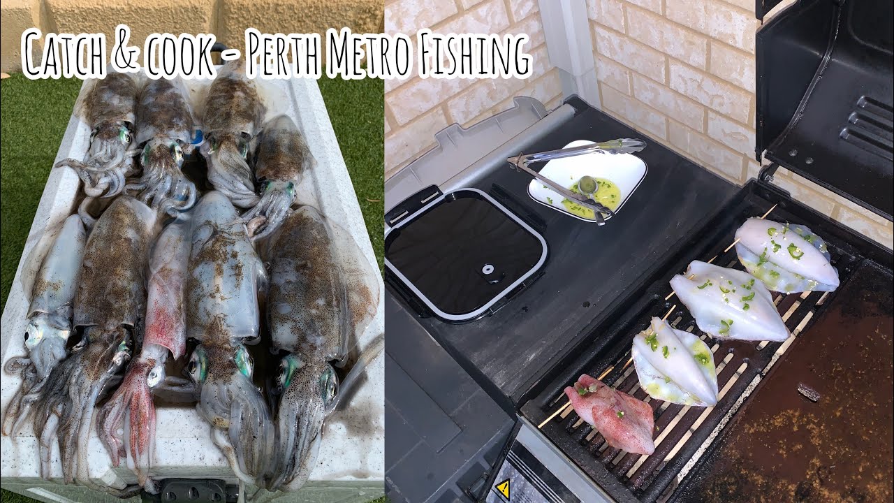 Squidding CATCH & COOK - Perth Metro Fishing - 3 Different Cookups ...