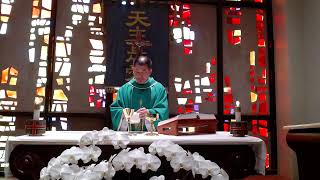 1/15/2025 平日彌撒 Daily Mass