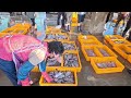 주문진 경매 어시장 빨리사야되 아침 6시 무슨일이 단돈 500원 미친 역대급 가격 같이 가시죠 korean fish market channel.