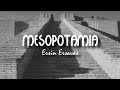 Ersin Ersavas - ANU (Mesopotamia Album)