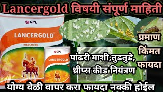 Lancergold विषयी माहिती|upl lancergold insecticide| #upl #lancerdgold@AapliShetiAaplshivarD