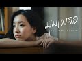 fellow fellow - มุมเผลอ [Official Music Video]