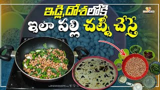 పల్లి చట్నీ ఇడ్లీ \u0026 దోస లకి చాలా బాగుంటుంది | Peanut Chutney Recipe in Telugu #chutney #food #tiffin