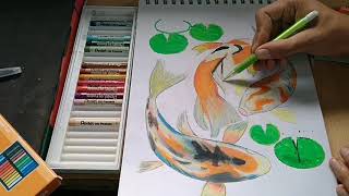 How to draw a koi fish using oil pastel