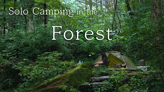 [4K] Solo Camping in the Forest | 뜨거운 여름에도 불멍이지 | 숲속캠핑 | 장작소리 | solo camping | 솔로캠핑