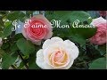 Je T'aime Mon Amour, Claudia Jung & Richard Clayderman