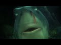 Shark smell blood of dory and lost self control in Finding Nemo