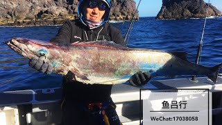 20200115新西兰深海慢摇铁板路亚海钓短蛇鲭鱼-鱼吕行Albert Fish On-Deepsea SlowJigging LureFishing Gem Fish In New Zealand