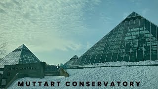 Muttart Conservatory | EXPLORE EDMONTON