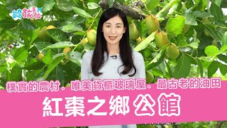 『台灣旅手帖』紅棗之鄉：公館！IG熱搜打卡景點_山中唯美貨櫃玻璃屋，快去拍打卡更新動態！(主持:大久保麻梨子)  ナツメの郷(さと)-公館