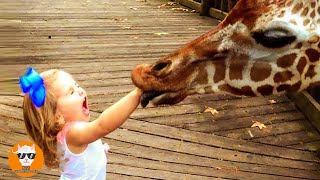 Funny Babies And Animals At The Zoo - Funny Zoo || Just Funniest