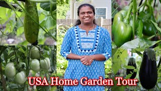 USA Home Garden Tour in Tamil | இந்த வருடம் வீட்டு தோட்டத்தை பார்க்கலாம் வாங்க | Anitha Samy's World