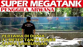 SUPER MEGATANK ARWANA SUPER RED PERTAMA DI DUNIA