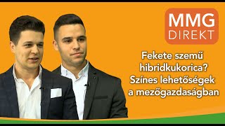 MMG - Direkt | Hogy az agrárszakma lehet szép? Csak nagyapánktól hallottuk | Rádi testvérek