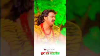 #pawan Singh song #bhojpuri song #bolbam song #shorts #pawan_singh_new_bhojpuri_video #khesari #reel