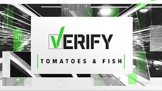 VERIFY: The tomato tariff and diseased fish