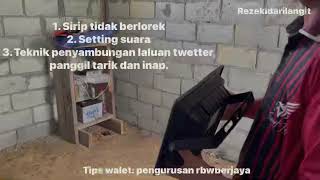 TIPS WALET: RUMAH BURUNG ZONK SETAHUN SETENGAH APA PUNCANYA BAHAGIAN 2