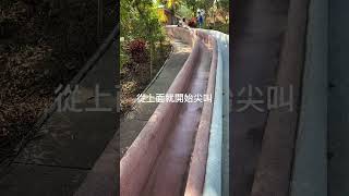 蘇維拉莊園-劭哥溜滑梯