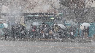 서울 전역 대설주의보 해제…퇴근길 안전 유의 / 연합뉴스TV (YonhapnewsTV)