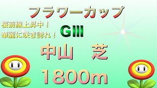 フラワーカップ2022 競馬予想　中山競馬場