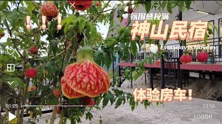 《沙巴》神山民宿 房车体验 氛围感拉满