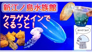 【新江ノ島水族館】 クラゲメインでぐるっと楽しむ！