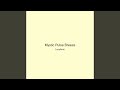 Mystic Pulse Breeze
