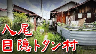 【八尾 極上のトタン村 】空港 周辺の平屋バラック集落 を歩いてみた 歩行型ドローン Japan's Untouchables