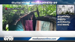 അതിശക്തമായ മഴയിൽ വ്യാപക നാശനഷ്ടം, വടക്കഞ്ചേരിയിൽ തെങ്ങ് കടപുഴകി വീണ് സ്ത്രീ മരിച്ചു