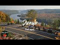 Fred again.. - Jungle (Lyric video)