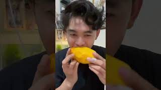 Bikin peliharaan dari biji buah mangga #youtubeshorts