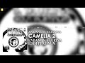 endang s. taurina camelia 2 official audio