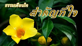 ธรรมเตือนใจ : สำคัญที่ใจ