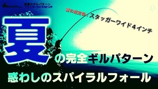 夏の琵琶湖の超定番！HIDEUPたまらんばい永野のスタッガーワイド4インチ(前編)